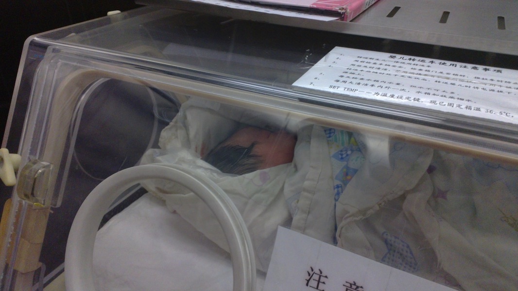 Xinxin born